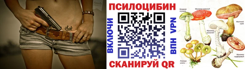 Галлюциногенные грибы GOLDEN TEACHER  Западная Двина 